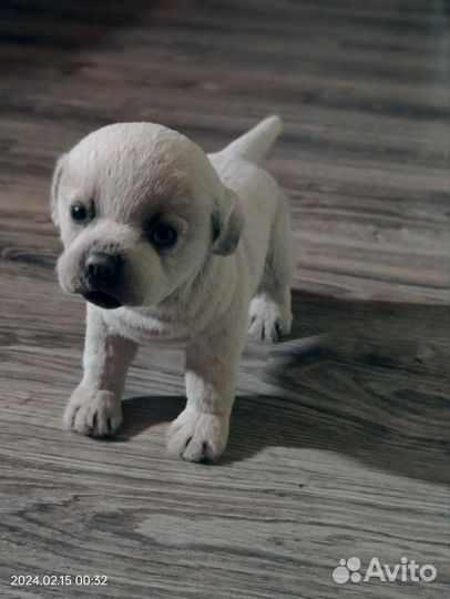 Собака (реалистичная игрушка)