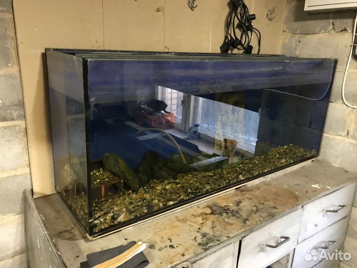 Аквариум