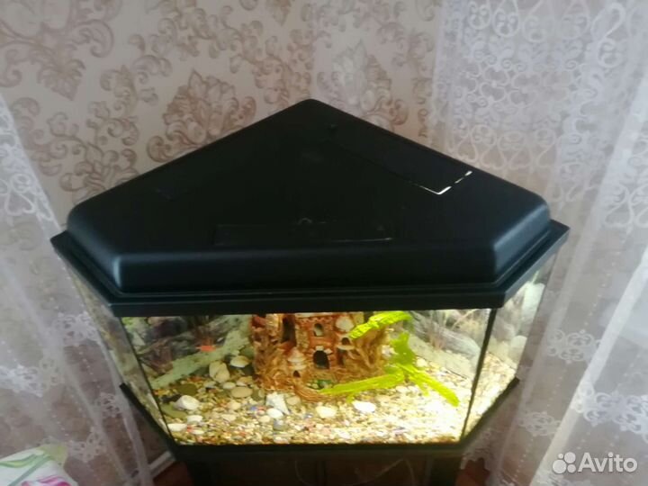 Аквариум