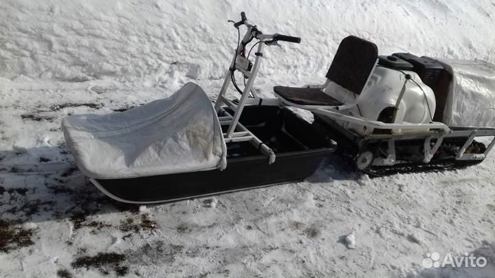 Мотособака Койра