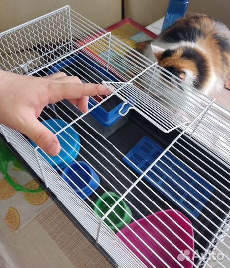 Клетка для мелких грызунов