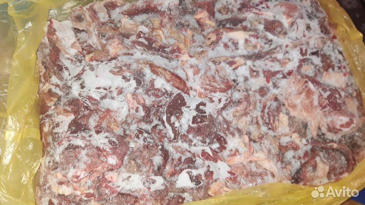 Мясо для собак Говядина