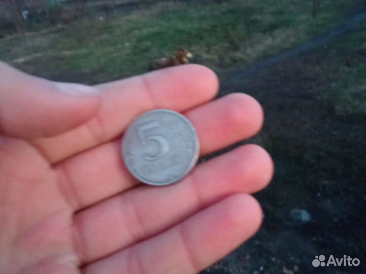 Криптантус