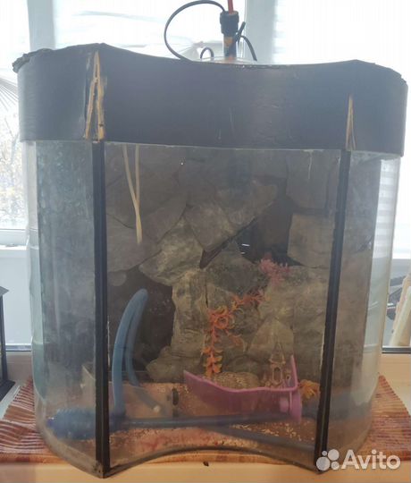 Аквариум