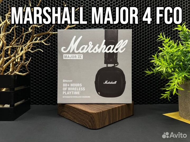 Marshall Major 4 FCO+