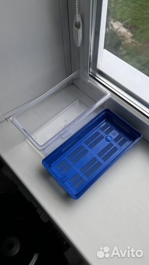 Крыса с клеткой