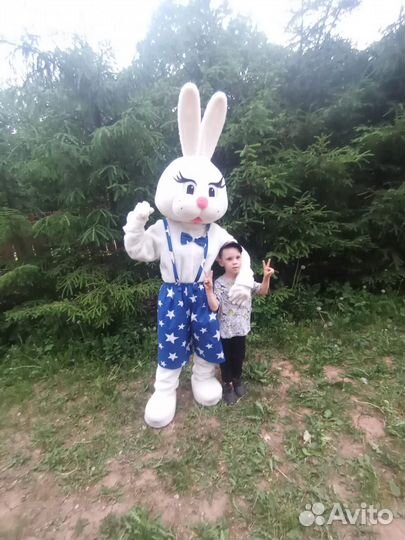 Костюм ростовой куклы