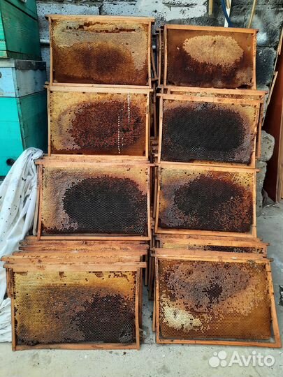 Улей для пчел бу