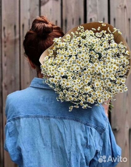 Ромашки Пионы Розы Доставка