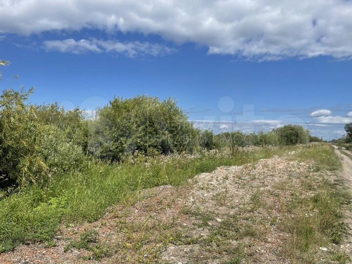 Участок 10 сот. (СНТ, ДНП)