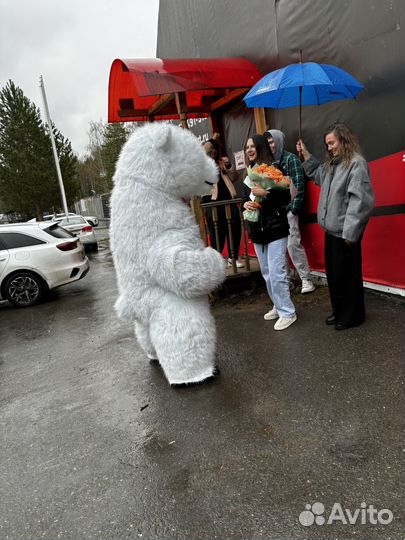 Поздравления медведя ростовая кукла белый медведь