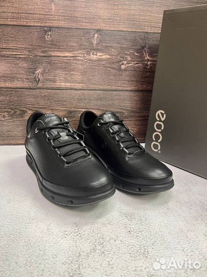 Кроссовки мужские схожие с Ecco Biom