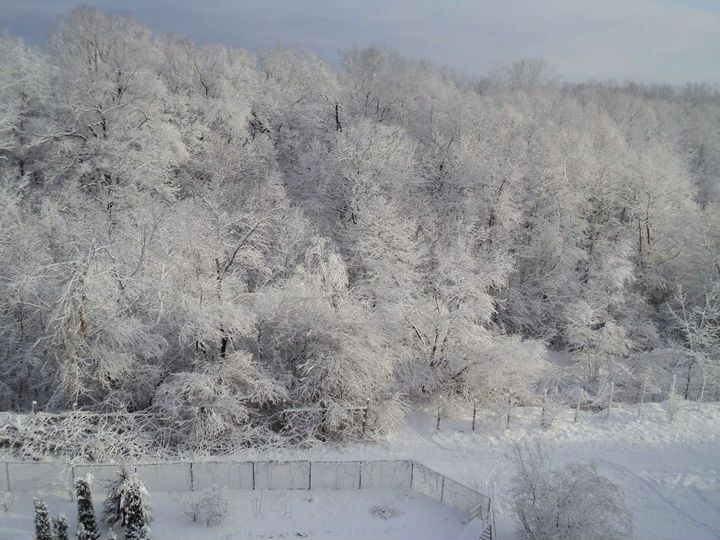 1-к. квартира, 56 м², 6/6 эт.