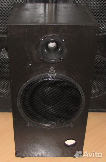 Колонка Frank Audio 550W Pro 12