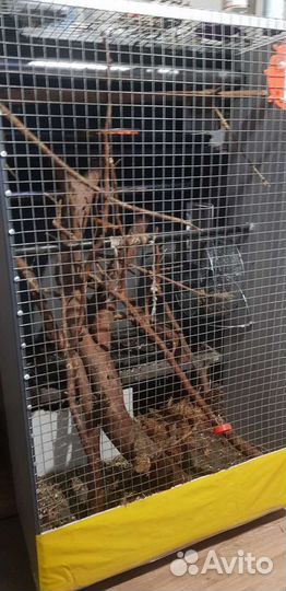 Шкаф для грызунов(белка и др)