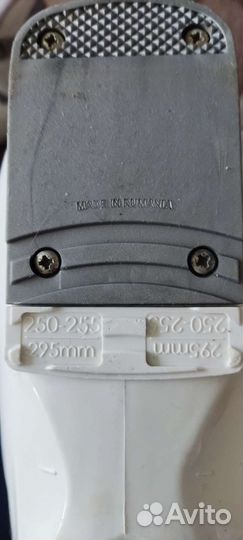 Горнолыжные ботинки