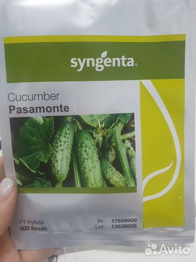 Семена Огурец Пасамонте 500с