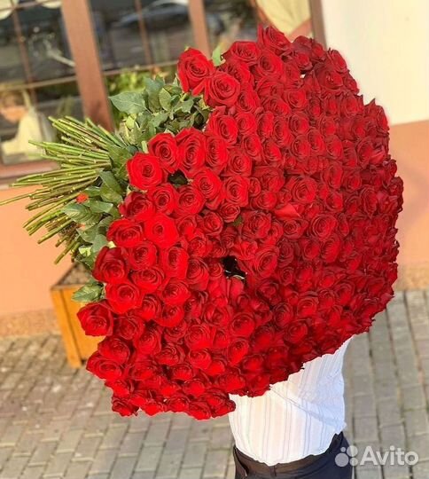 Розы Высокие 150см 160см 170см 180см 190см 2м