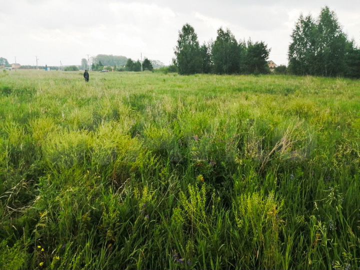 Участок 16,5 сот. (ИЖС)