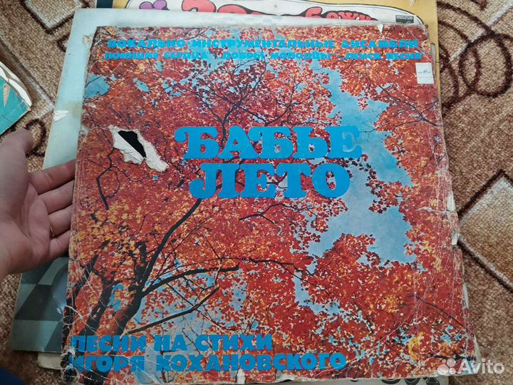 Виниловые пластинки