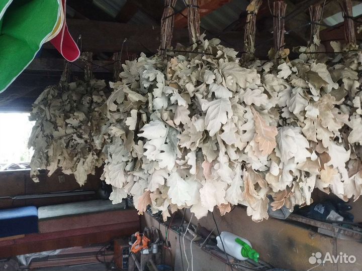 Банные веники