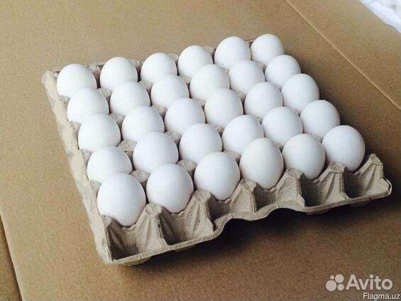 Яйцо куриное