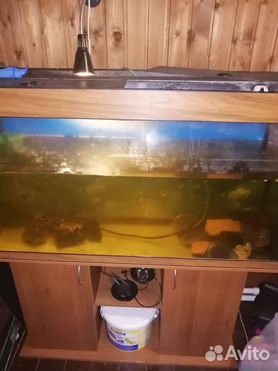 Аквариум с тумбой 300 литров