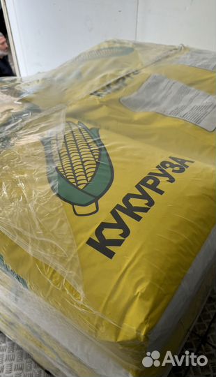 Семена кукурузы краснодарская 291