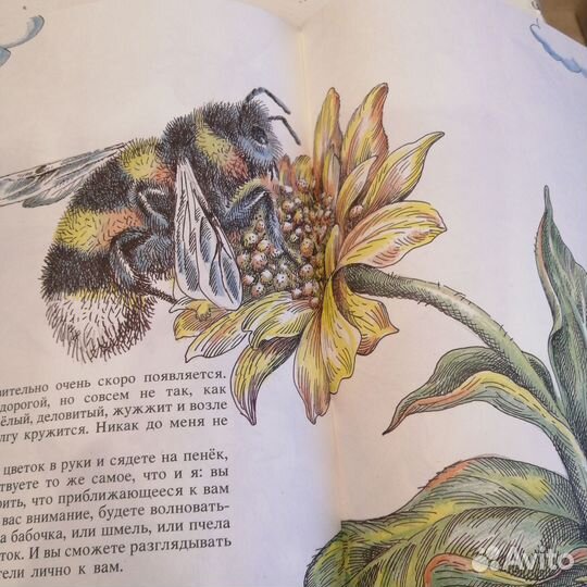 Варшамов гости на цветке 1988г