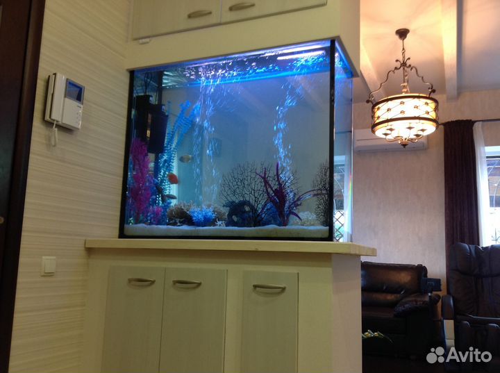 Профессиональное обслуживание аквариумов