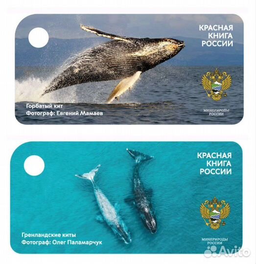 Брелок Тройка киты