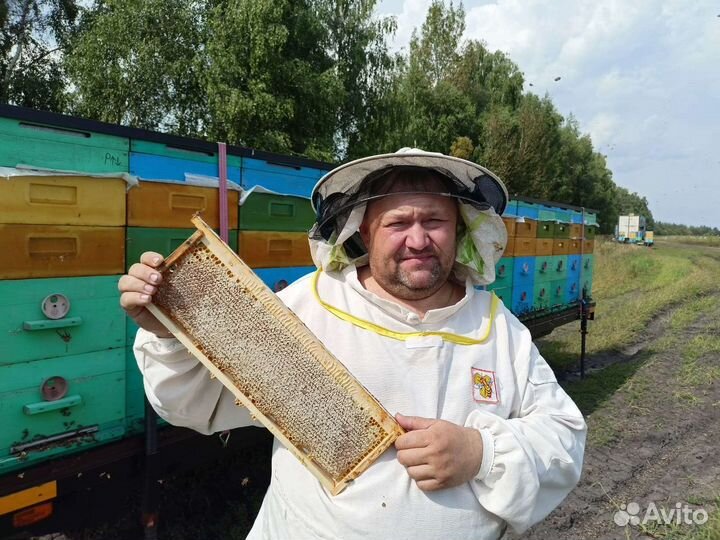 Мед гречишный оптом,Липа с разнотравьем
