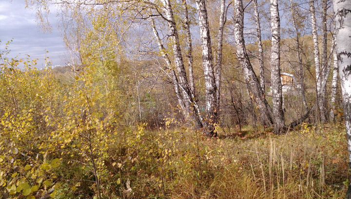 Участок 6 сот. (СНТ, ДНП)