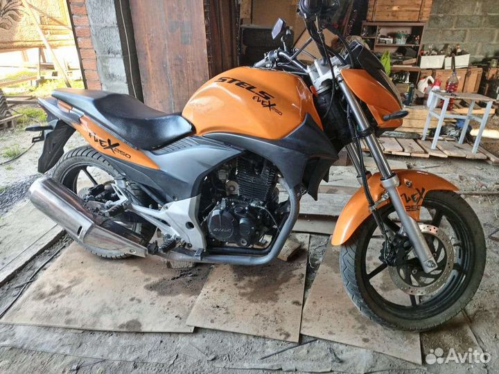 Stels flex 250