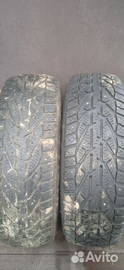 Шаны зимние