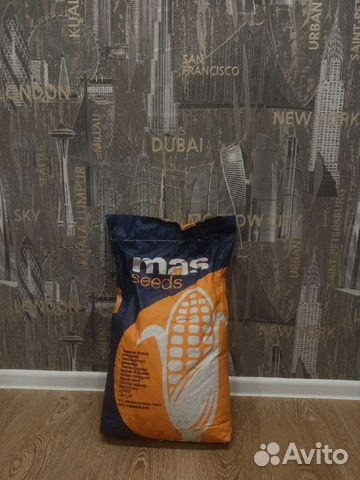 Семена кукурузы