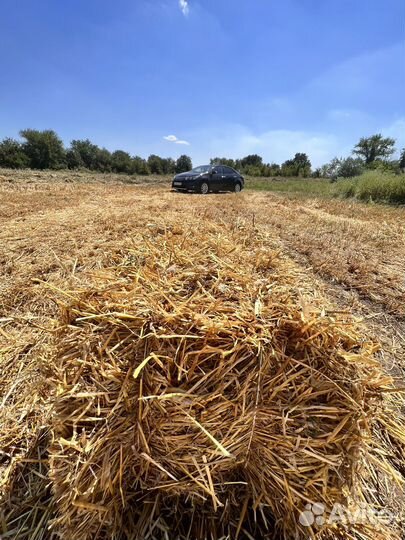 Солома ячмень с люцерной в тюках