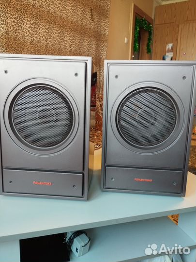 Колонки Романтика 10 Ас 207