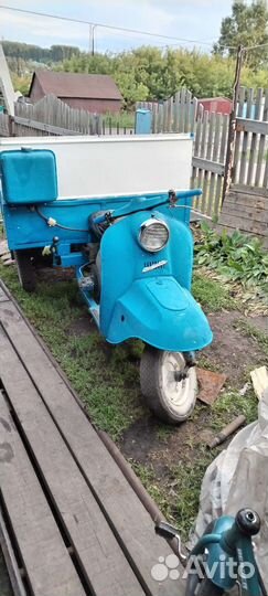 Моторолер муровей