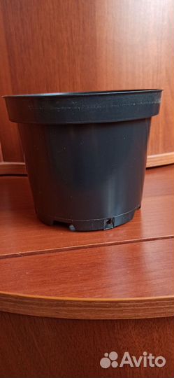 Горшки для рассады