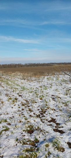 Участок 11 га (СНТ, ДНП)