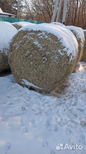 Солома соевая, пшеничная