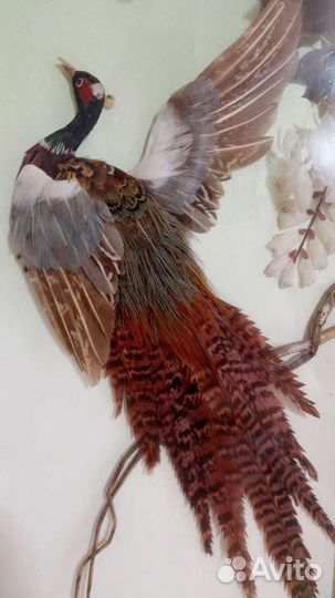 Павлин картина панно Китай, винтаж