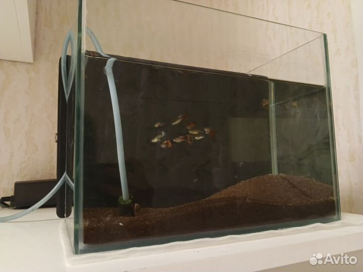 Аквариум с рыбками