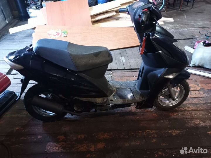 Ирбис каори