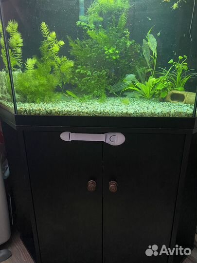 Аквариум угловой на тумбе