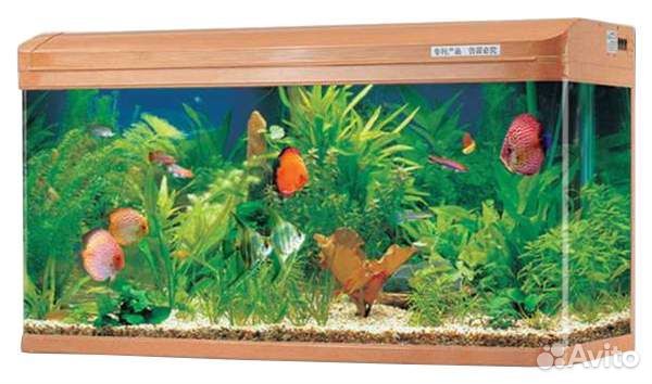 Новый аквариум jebo R390