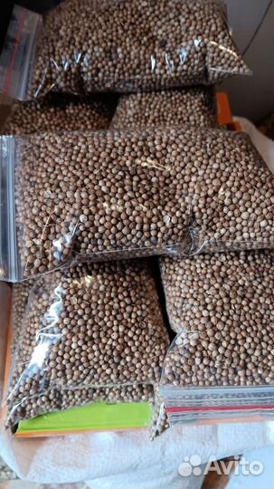 Семена. Нут лён чечевица горох кинза