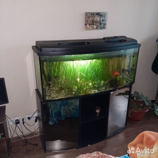 Продажа аквариума
