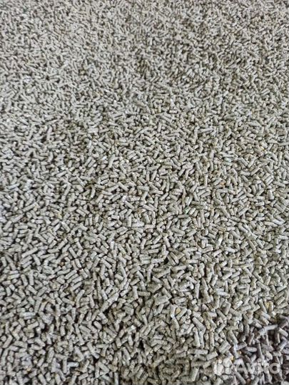 Продаю кукурузу, ячмень, комбикорм, пшеницу